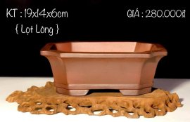 CÁC MẪU CHẬU ĐANG CÓ GIÁ ƯU ĐÃI 