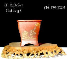 CÁC MẪU CHẬU ĐANG CÓ GIÁ ƯU ĐÃI 