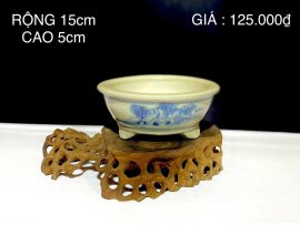 CHẬU MEN RẠNG GIÁ ƯU ĐÃI 