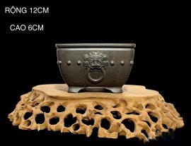 CHẬU BONSAI HÀNG MỚI - GIÁ ƯU ĐÃI ĐỒNG GIÁ 