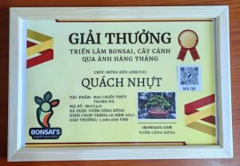 Mai chiếu thủy trung nu
