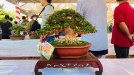 Mai chiếu thủy trung nu