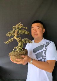 Sam núi hoa