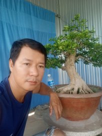 Nguyệt quế