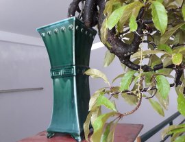 Lộc Vừng dáng đổ đang 2 nụ hoa...