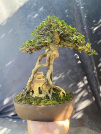 Đồ chơi cầm tay ( sam hương ) 
