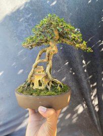 Đồ chơi cầm tay ( sam hương ) 