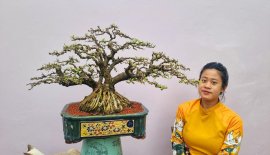 Linh sam