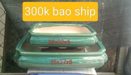 Chậu bonsai 290k bao ship