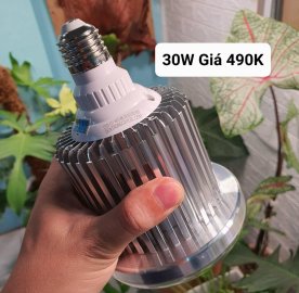 LGL đèn quang hợp, đèn trồng cây