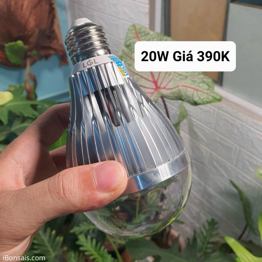 LGL đèn quang hợp, đèn trồng cây