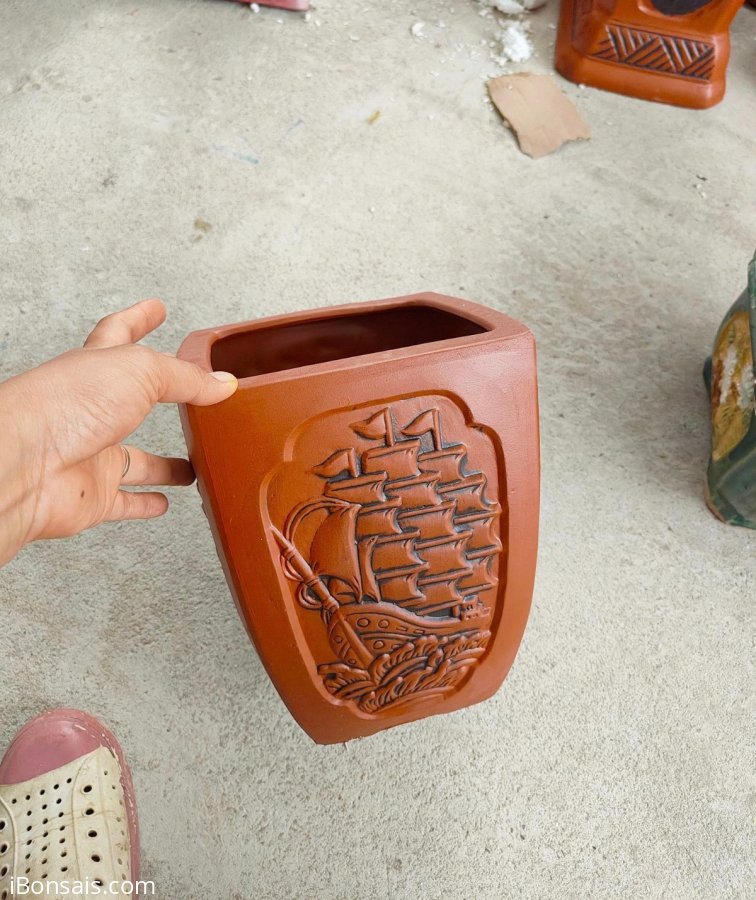 Chậu bonsai 60k chưa ship