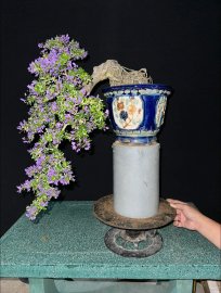 Linh sam 86 đổ rin