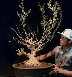 Linh sam sông hinh đợi ngày thành phẩm