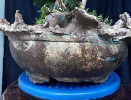 Em Trắc Dây và chiếc chậu thủ công nhiều năm...