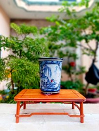Chuẩn vẽ tay bay nhanh mùa lũ 500k