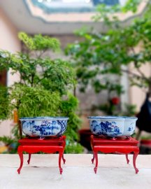 Chuẩn vẽ tay bay nhanh mùa lũ 500k
