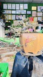 MCT Da đen lá lớn