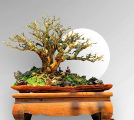 Vietnamese blue bell mini scene