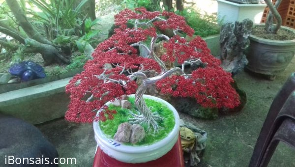 Bonsai dây đồng