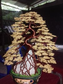 Bonsai dây đồng