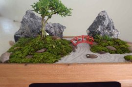 Tiểu cảnh bonsai để bàn trà, bàn làm việc, phòng khách