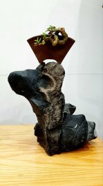 Em khoe đôn ạ chứ hết cây đẹp rồi