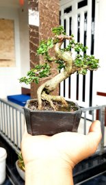 Đầu tuần vui vẻ ae nhé