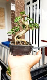 Đầu tuần vui vẻ ae nhé