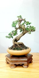 Buồn nào hơn đêm nay, khi thấy em theo người khác ....