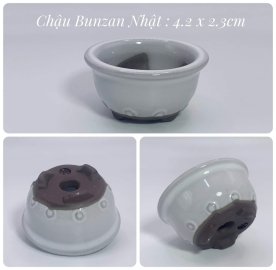 Chậu Nhật vài chục k/1c
