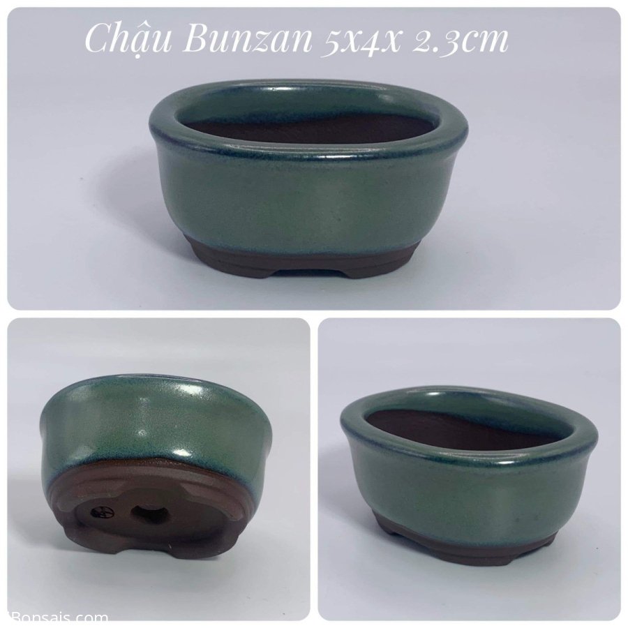 Chậu Nhật vài chục k/1c