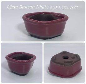 Chậu Nhật vài chục k/1c