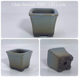 Chậu Nhật vài chục k/1c