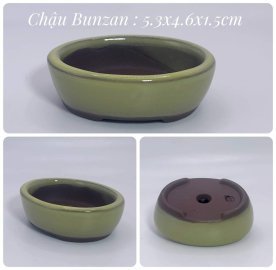 Chậu Nhật vài chục k/1c