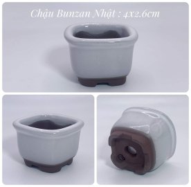 Chậu Nhật vài chục k/1c