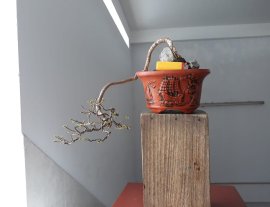 Hoa Giấy ghép Tím Huế ( Vạn Hoa Lầu )...