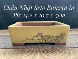 Chậu Bunzan in - giá 950k bao ship
