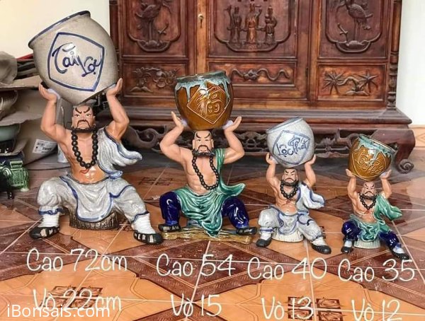 Chậu tượng trồng cây lỗ chí thâm dâng vò