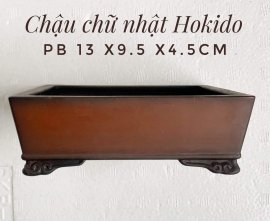 Chậu Hokido chân quỳ - giá 3.100k