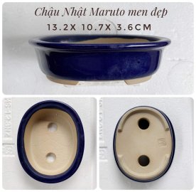Chậu Maruto men đẹp