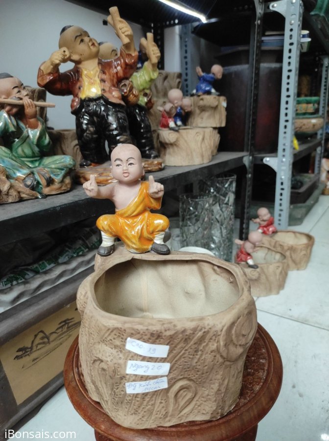 Chậu chú tiểu