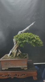 Sam ngọc mịn mức có anh nào iu kg ạ!