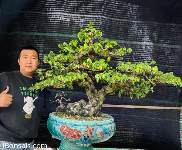Cụ khế gân xin gl cùng ace