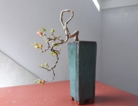 Em Dâu đã đậu trái...