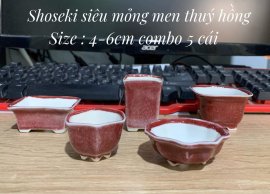 Combo 5 cái Shoseki