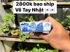 Gl ae chậu vẽ tay sơn thuỷ Nhật
