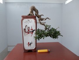 Linh Sam sông Hinh zin...