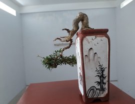Linh Sam sông Hinh zin...