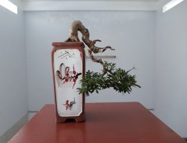 Linh Sam sông Hinh zin...